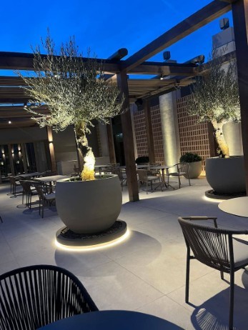 Imagen Pergola con Toldo a Medida